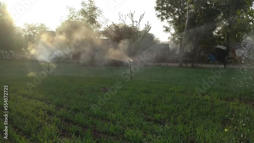 Several working water sprinklers in a row irrigating agriculture field. 4k clip photo