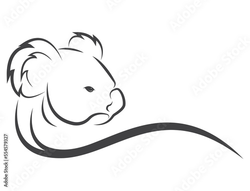 Photography Koala bear head design isolated on transparent background