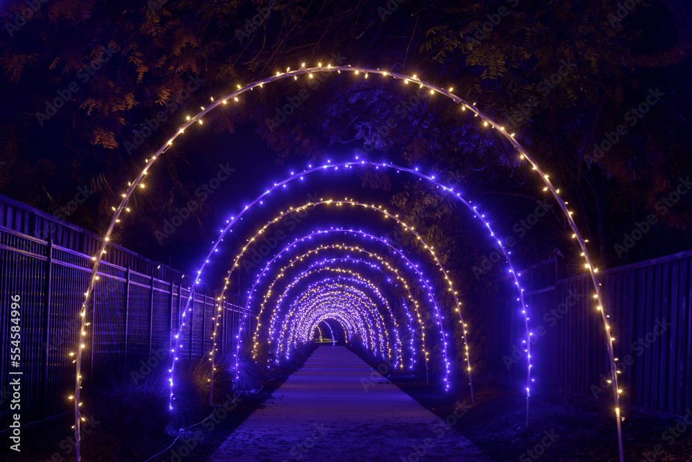 Christmas Light Installation in the Bay Area, California