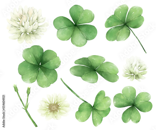 Vector,Watercolor clover, white background and little flowers vector pattern.
