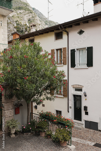 Rustic Italian architecture. Traditional historic European country buildings with wooden windows  flowers and blooming trees. Aesthetic summer vacation travel concept