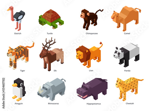 Isometric zoo animals. Low poly panda, penguin toy and tiger. Herbivores and predatory wild animal 3D cartoon vector set