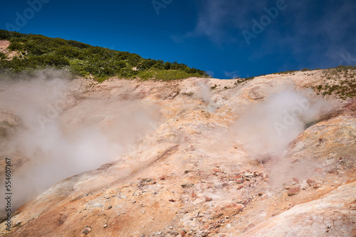 Steaming mud holes and solfataras in the geothermal area of Kamchatka peninsula. Summer landscape