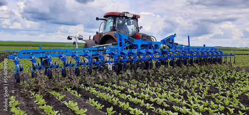 Tractor with hoe in beet field on the spring photo