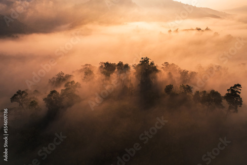 Fototapeta Naklejka Na Ścianę i Meble -  Sunrise in the forest,Aerial view of thick morning fog