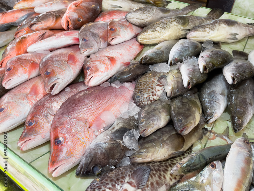Red snapper and fresh fish variety on market stall in Phuket city