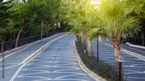 A road with beautiful palm trees leading huge hotel in Turkey.