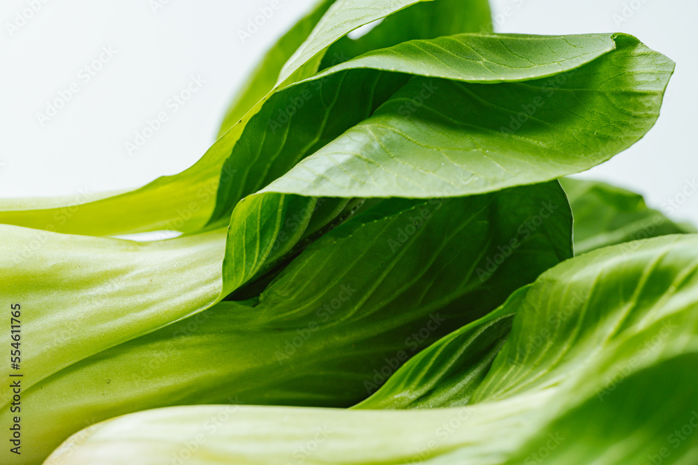 Fototapeta premium Fresh vegetable bok choy ingredients laid out on the table