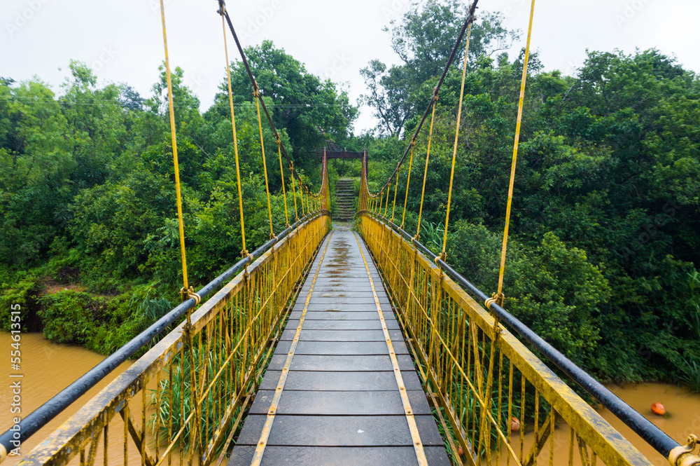 Obraz premium bridge over the river