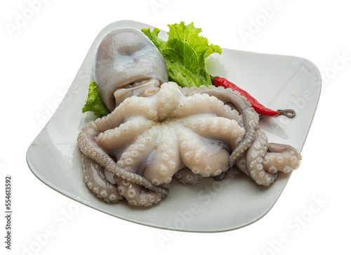 Raw octopus