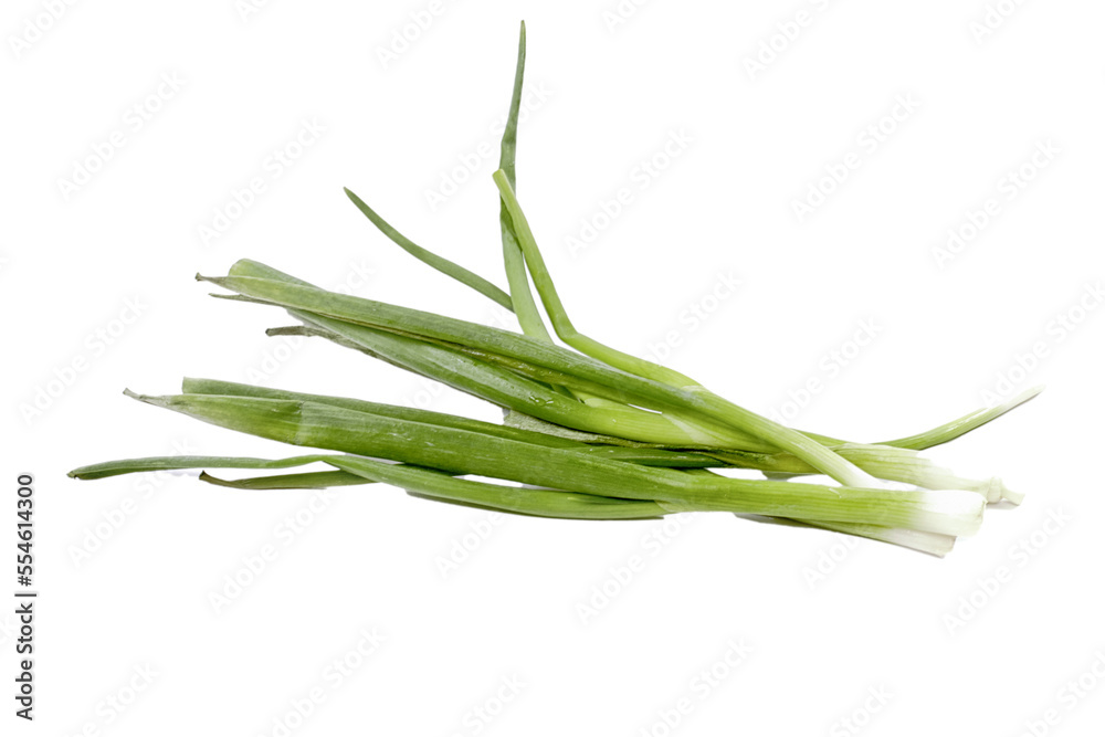 Fototapeta premium Green Onion on white background