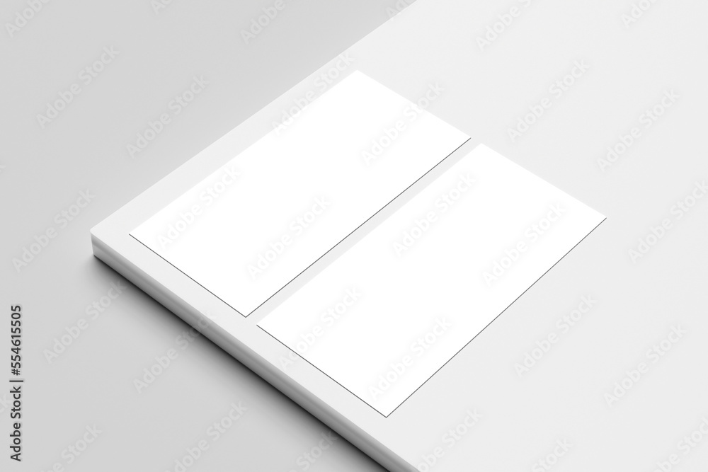 DL Flyer Blank Mockup DL Flyer Blank Mockup