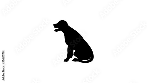 Labrador Dog Sitting original high quality vector silhouette