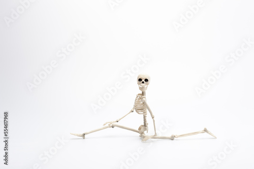 the toy skeleton workout