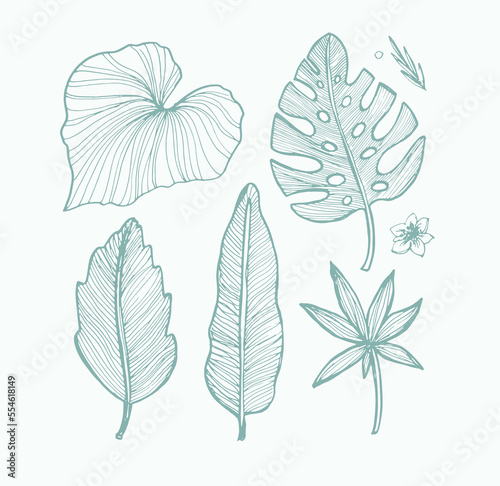 Trendy hand drawn doodle tropical leaf leaves pattern background.
