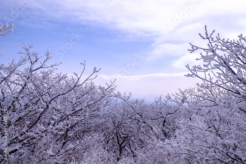 Scenic view of snow-covered mountains against sky