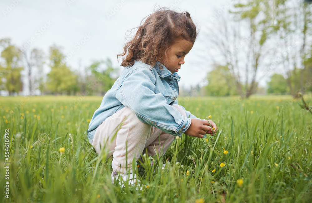 Fototapeta premium Grass, flowers and children with a girl in the park alone during summer or spring in nature with mockup. Field, green and kids with a female child picking a dandelion flower in a garden outdoor