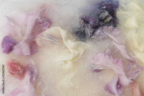 frozen frost flowers in milk, ice, water and snow in pastel colors