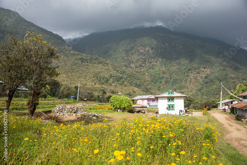 Field of mustard flowers on the trail to Everest Base Camp, Khumbu, Nepal photo