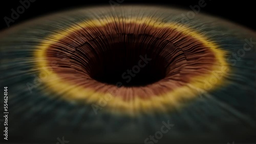 A microscopic concept showing the detailed makeup of an eyes iris as it dilates contracts and twitches with movement