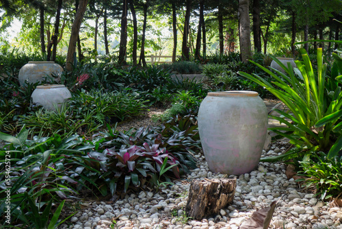 Botanical garden green branches of plant pot © nalinratphi