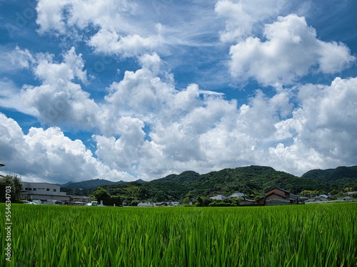 夏の青空と白い雲と田園風景
