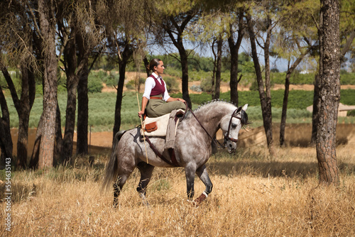 Woman horsewoman, young and beautiful, walking with her horse, through pine forest in the countryside. Concept horse riding, animals, dressage, horsewoman, cowgirl.