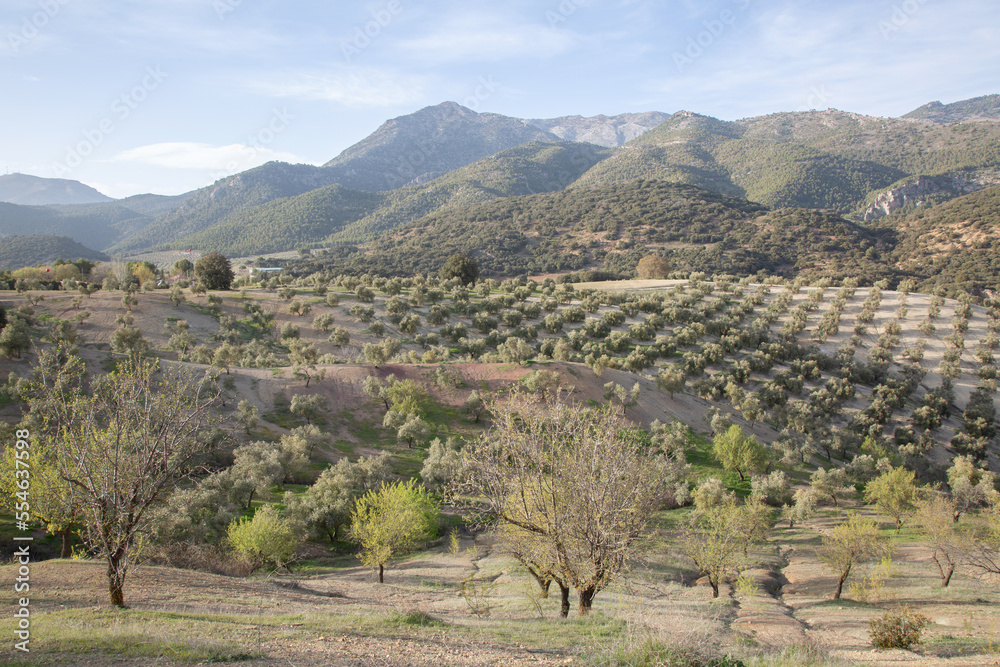 Landscape of Sierra Magina National Park, Jaen, Spain