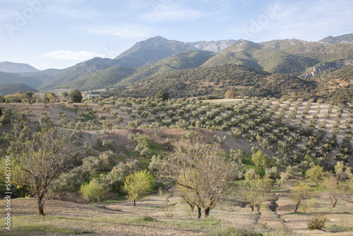 Landscape of Sierra Magina National Park, Jaen, Spain