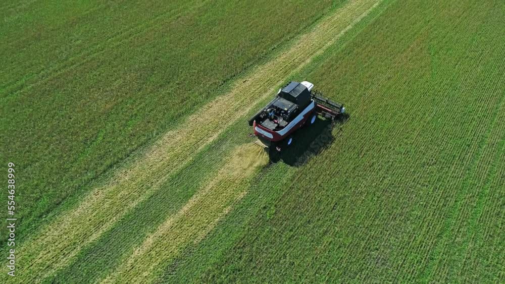 Aerial of combine working in the field harvesting crops. Gathering season Aerial of combine working in the field harvesting crops. Gathering season