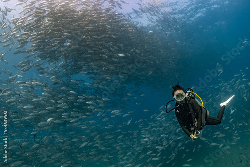 scuba diver with Cabo Pulmo jack tornado under sunny sky