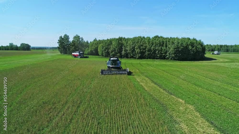 Aerial of combines working in the field harvesting crops. Gathering season Aerial of combines working in the field harvesting crops. Gathering season