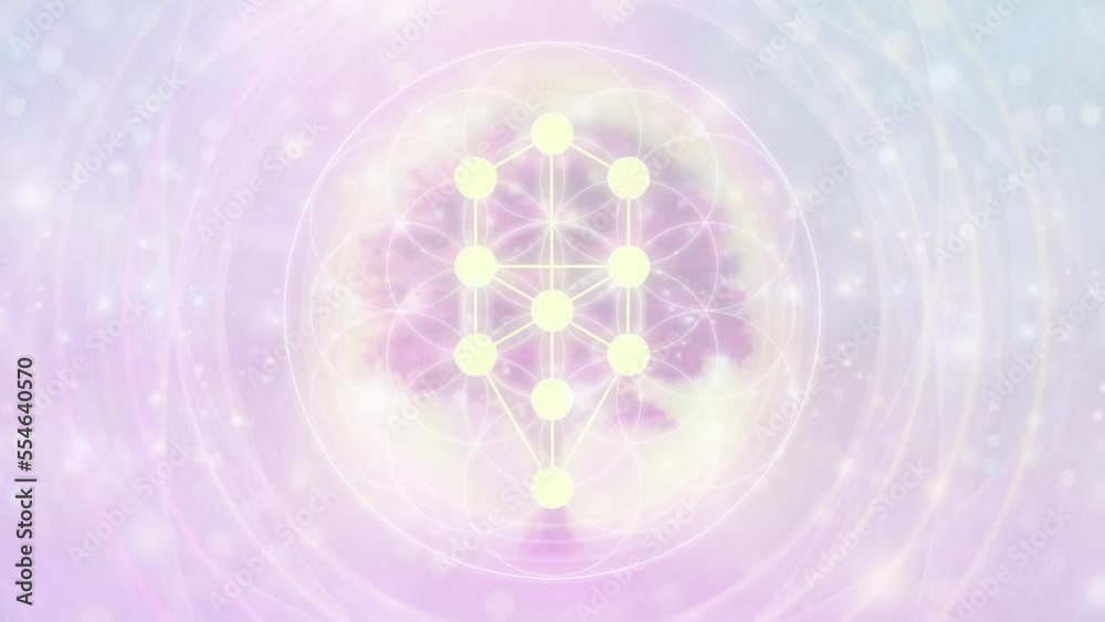 Tree of Life Scared Geometry Meditation Animation, Video, Visualizer