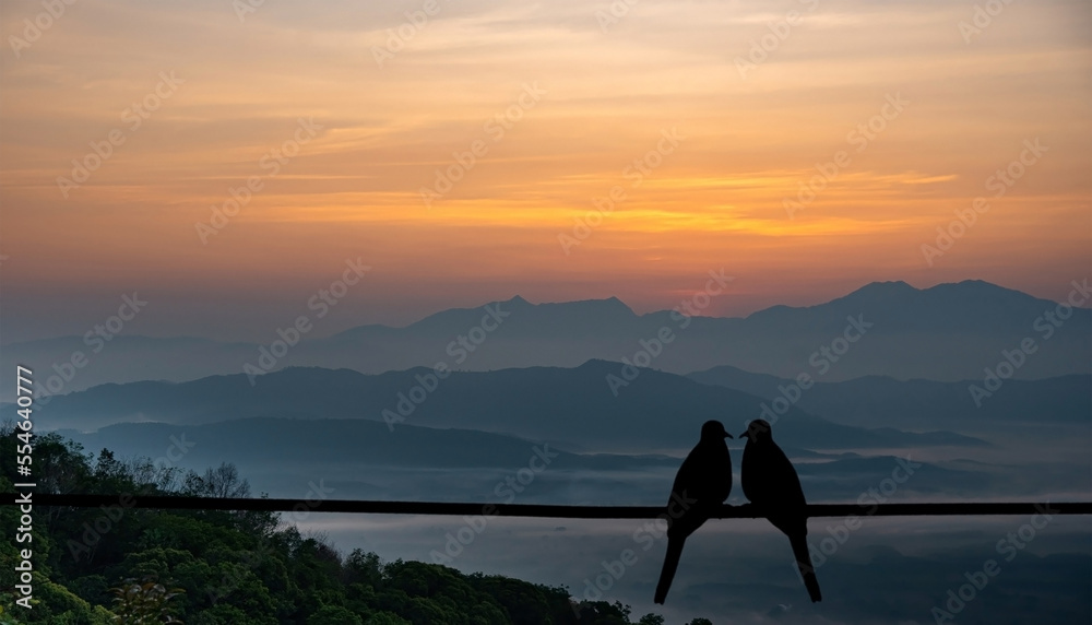 Fototapeta premium Silhouette of lovers birds isolated from a white background.