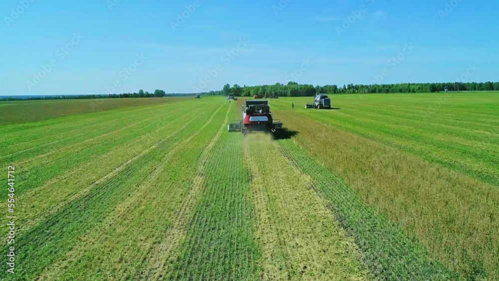 Aerial of combines working in the field harvesting crops. Gathering season Aerial of combines working in the field harvesting crops. Gathering season