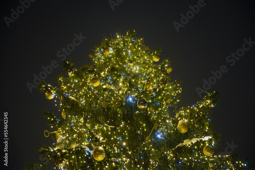 Christmas tree with green snow-covered branches in which lights and festive decorations are installed.