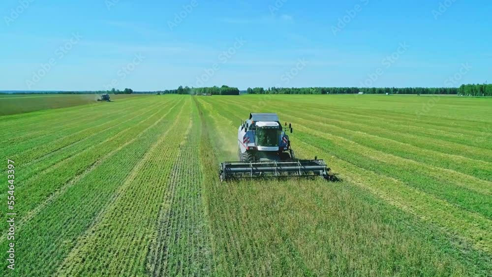Aerial of combine working in the field harvesting crops. Gathering season Aerial of combine working in the field harvesting crops. Gathering season