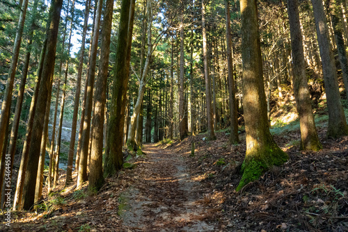 The Bukozanmitake Shrine on mountain Buko