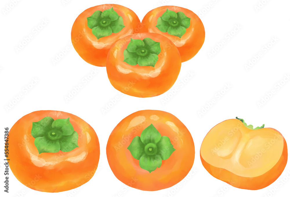 Fototapeta premium 水彩で表現した柿のイラストセット／Persimmon illustration set expressed in watercolor