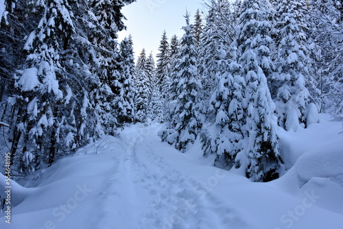 zima, śnieg, zaspy, pogoda, mróz, intensywne opady śniegu w Małopolsce © Albin Marciniak