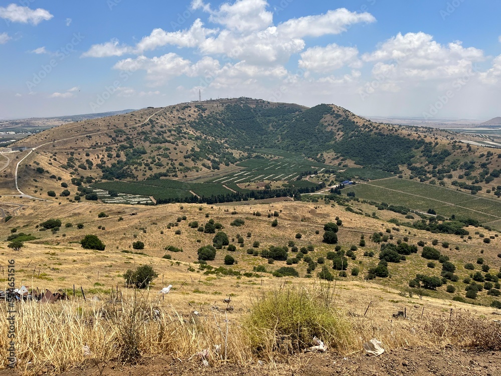 landscape in the mounatains