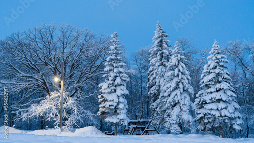 A Winters Wonderland with Heavy Snow and Frost on trees  in rural mountain scenes
