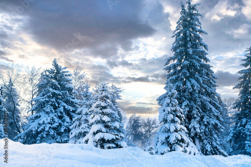 A Winters Wonderland with Heavy Snow and Frost on trees  in rural mountain scenes