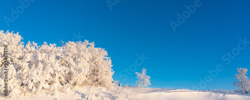 A Winters Wonderland with Heavy Snow and Frost on trees  in rural mountain scenes