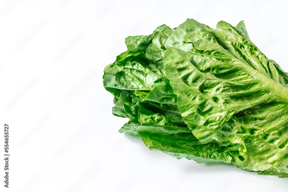Fresh healthy green romano salad on a white background with space for text. Creative banner of healthy food, detox and diet Fresh healthy green romano salad on a white background with space for text. Creative banner of healthy food, detox and diet