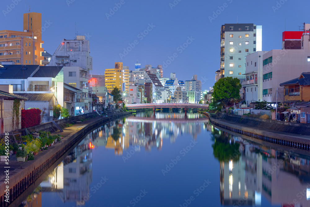 Wakayama City, Japan cityscape on the Waka River