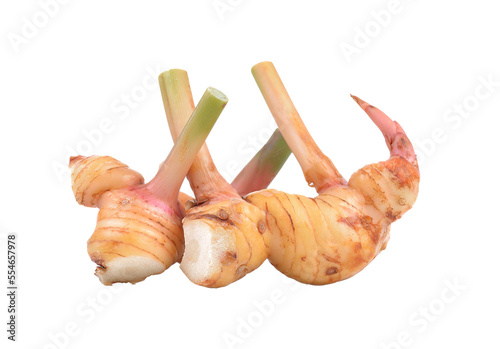 galangal isolated on transparent png