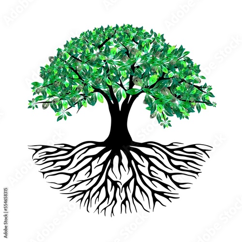 The illustrations and clipart. tree in the shape of a heart on white background.