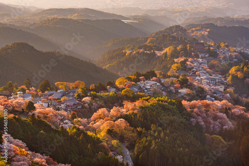 Yoshinoyama, Nara, Japan in Spring photo