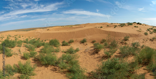 Panorama of the desert. Republic of Kalmykia, Russia